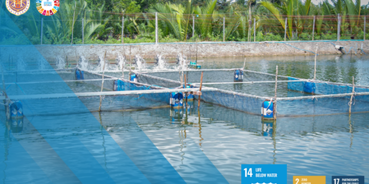 Reusing Old Shrimp Ponds for GAP-based Tilapia Aquaculture