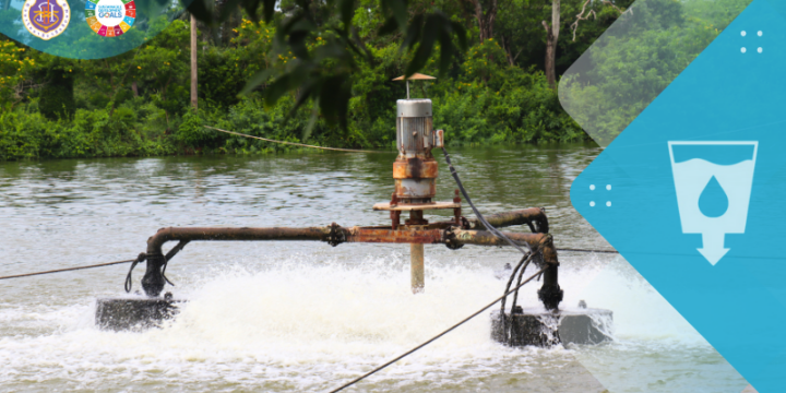 Innovative Wastewater Treatment: How Walailak University Achieves Environmental Sustainability