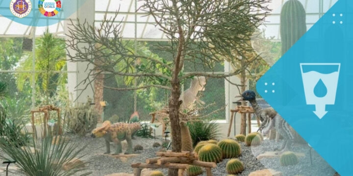 The Landscapes for Hydroponic Farming and Drought Tolerant Plants to Minimize Water Usage 