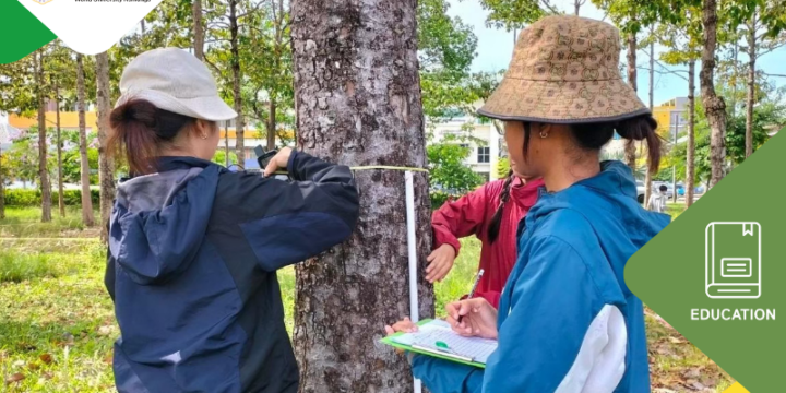 Number of events related to sustainability (ED.4)