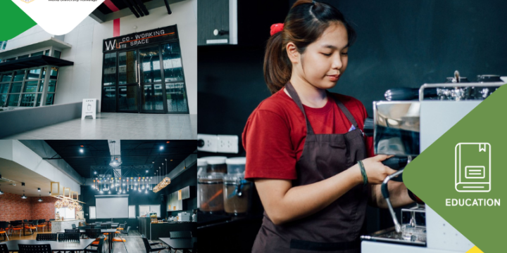 Number of sustainability-related startups (ED.11)