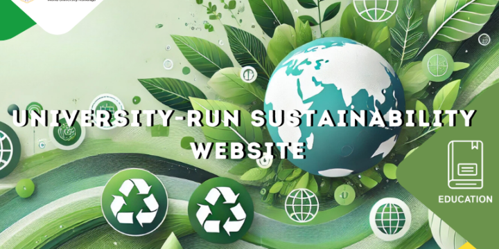 Sustainability Coordination & Website