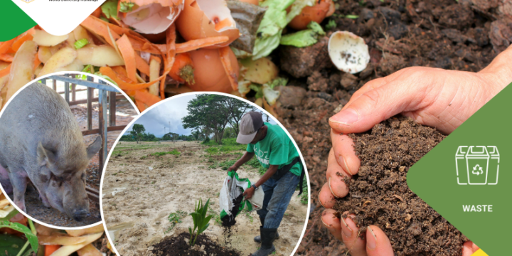 Organic Waste Treatment (WS3)