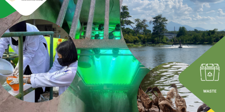 Sewage disposal (WS.6)