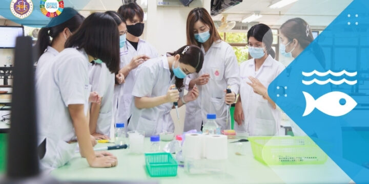 Water Quality Standards and Guidelines for Water Discharges