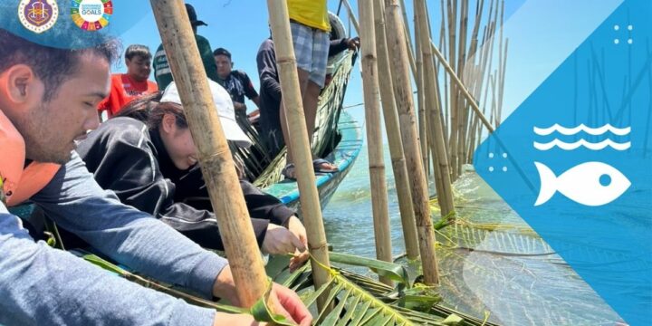 Sustainable Aquatic Ecosystem Initiatives: From Oceans to Freshwater Conservation 