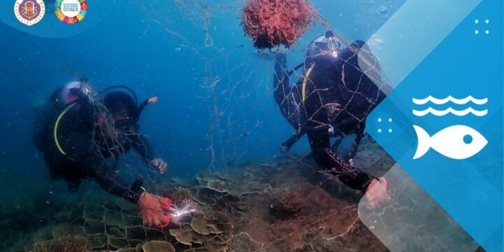 Direct Actions to Preserve and Enhance Freshwater, Coastal, and Marine Ecosystems and Biodiversity