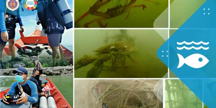 Walailak University’s Plans to Strengthen Blue Crab Conservation and Conserve Marine Ecosystem through National and International Collaboration