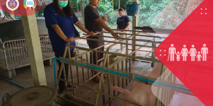 Walailak University’s Initiative in Supporting the Satit Walailak Pattana Community Enterprise Group of Pig Farmers
