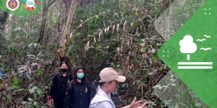 WU Social Engagement: Innovation of field surveys and plants data collection in old-growth forest areas in the case of Walailak University Botanical Park