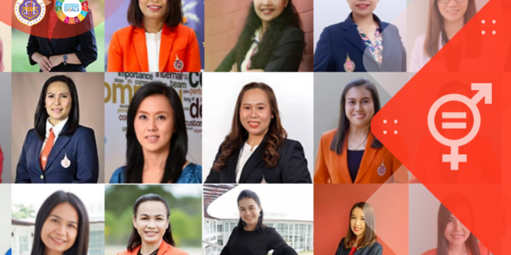 Promoting the Representation of Female Senior Academic Staff