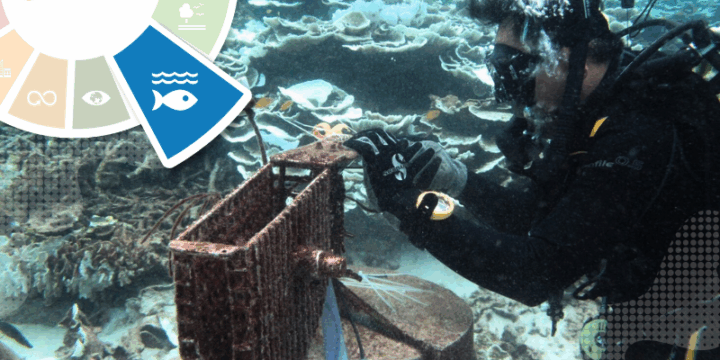 Technologies for Preventing and Minimizing Damage to Aquatic Ecosystems