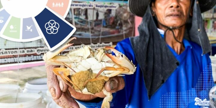Sustained International Collaboration and Research for Best Practices Development on Blue Swimming Crab Resources