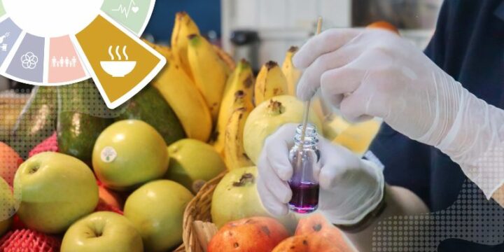 Walailak University Food Outlets: Healthy and Affordable Food Choices for All