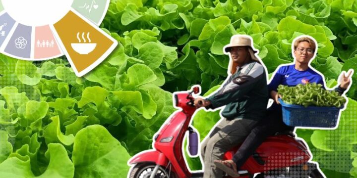 Fostering Local Pride and Sustainability: Walailak University’s Commitment to Sustainable Food Purchases