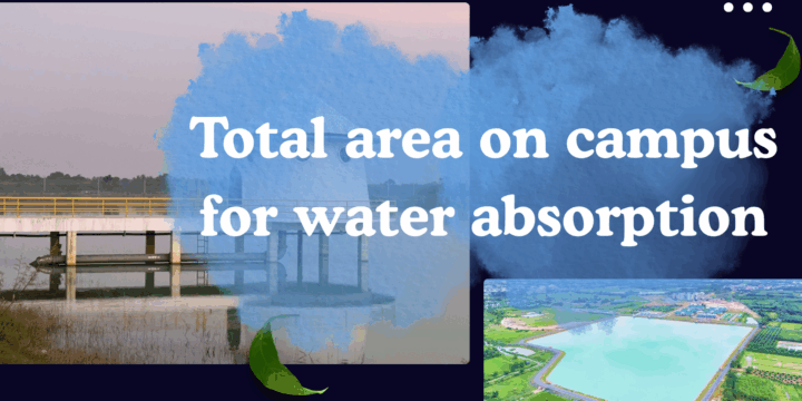 Total area on campus for water absorption