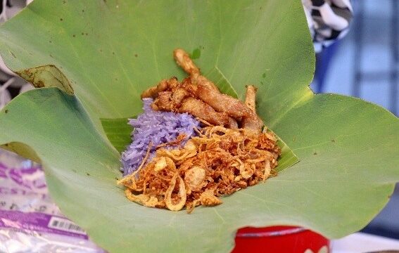 Number of sustainability community services project organized and/or involving students