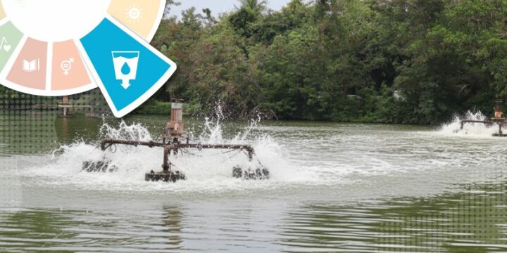 The Wastewater Treatment Process for Environmental Sustainability