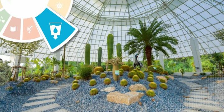 Water-Conscious Planting Landscapes to Minimize Water Usage