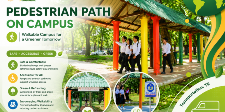 Pedestrian path on campus