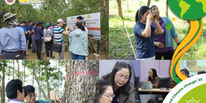 Activities which are implemented by communities at the international level on climate change