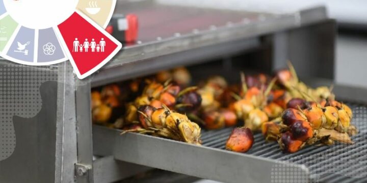 Local Start-Up Assistance on Red Palm Oil