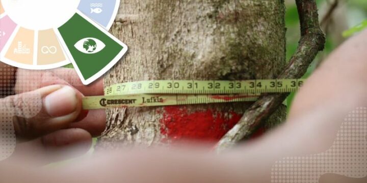 Low-Carbon Energy Tracking at wu