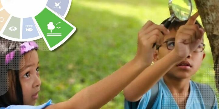 The Events for Conservation and Sustainable Use of the Original Forest Area