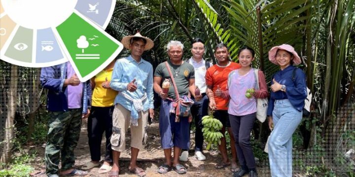 Sustainable Land Management for Low-Carbon Tourism in Nipa palm Forest