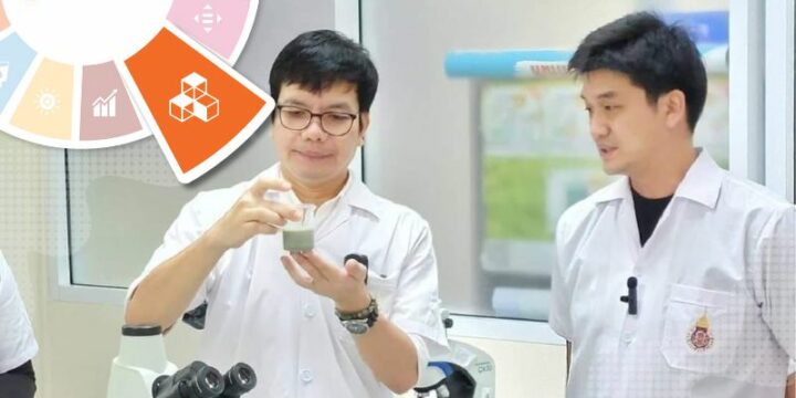 The Spin-Off Companies Leveraging Intellectual Property