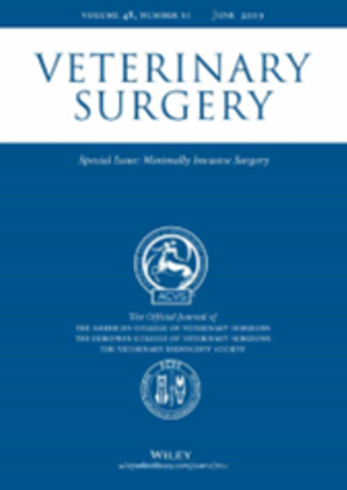 รูปภาพ11