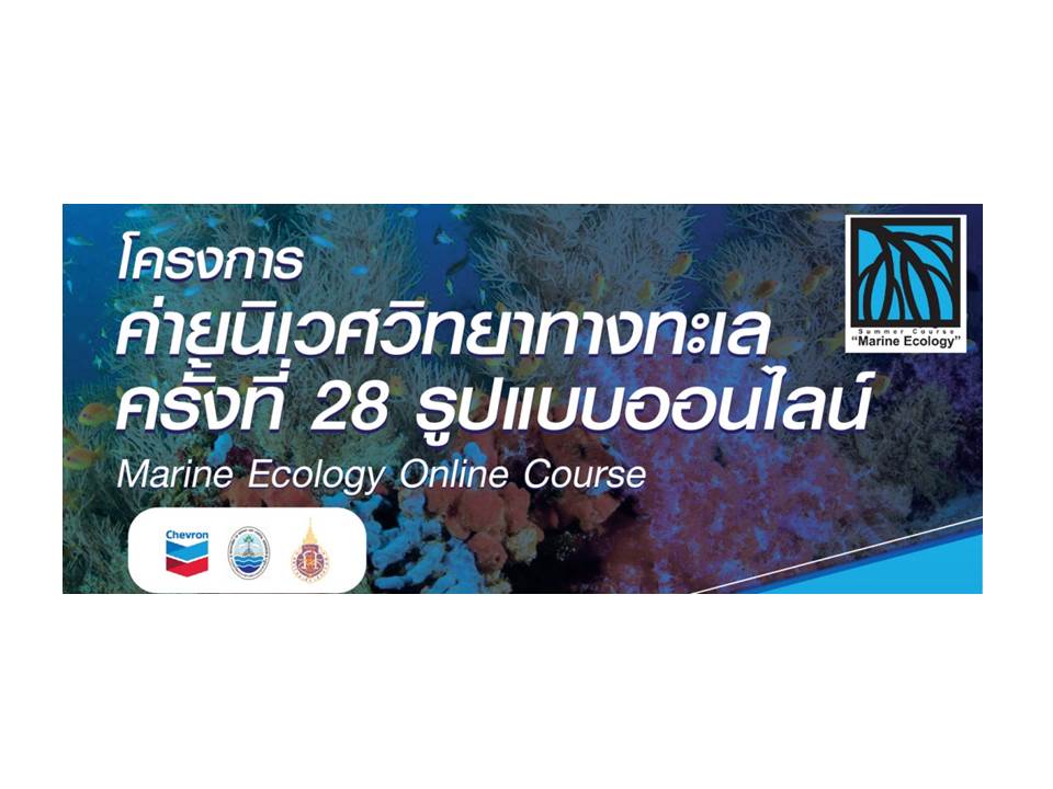ขอเชิญน้องๆ นักศึกษาเข้าร่วมโครงการค่ายนิเวศวิทยาทางทะเล ครั้งที่ 28 รูปแบบออนไลน์ (Marine Ecology Online Course)