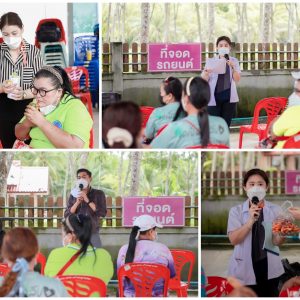 Walailak University, together with Community Enterprise Group and Health Promotion Hospital (Ban Thung Chon), Promoted "Plai Massage Oil".