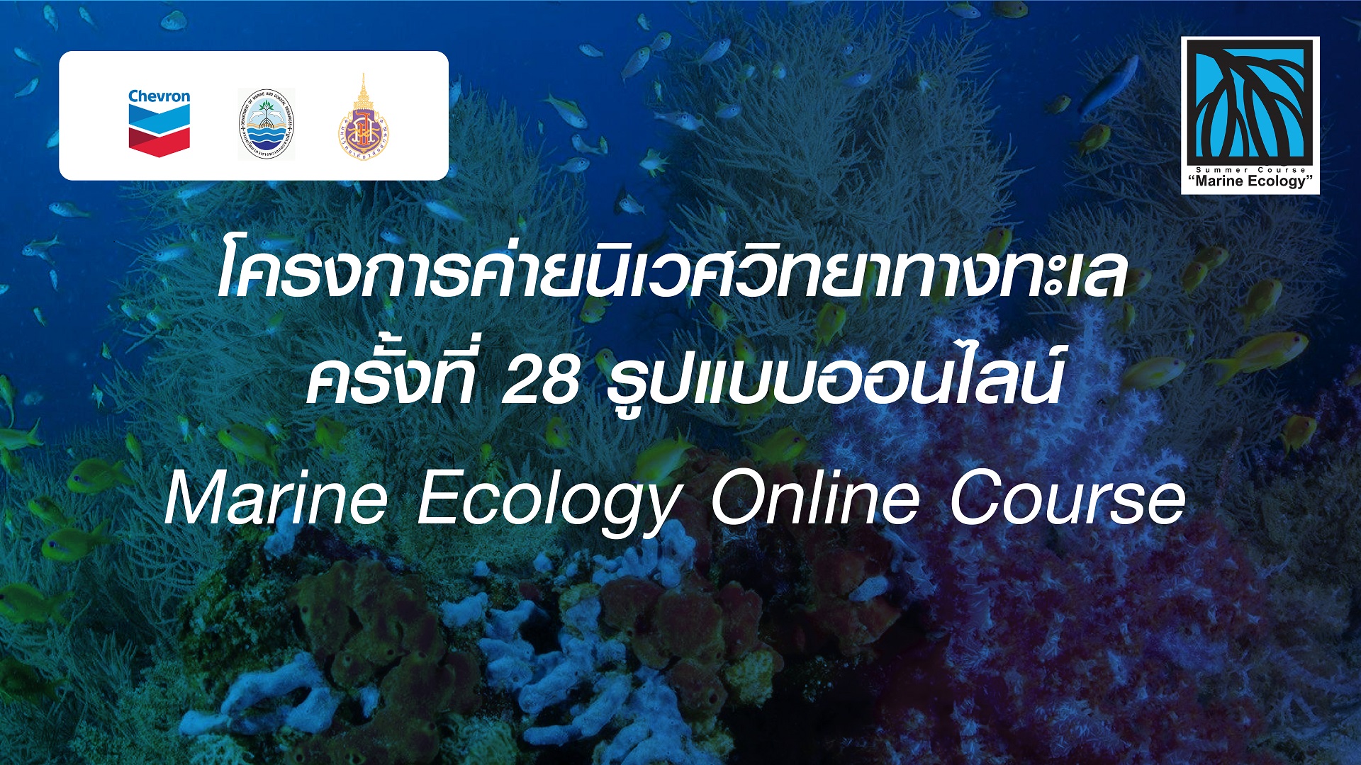ศูนย์บริการวิชาการ มหาวิทยาลัยวลัยลักษณ์ ขอเชิญน้องๆ นักศึกษาเข้าร่วมโครงการค่ายนิเวศวิทยาทางทะเล ครั้งที่ 28 รูปแบบออนไลน์ (Marine Ecology Online Course)