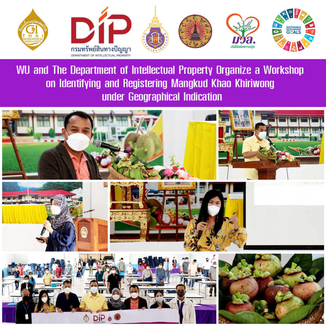 WU and The Department of Intellectual Property Organize a Workshop on Identifying and Registering Mangkud Khao Khiriwong under Geographical Indication