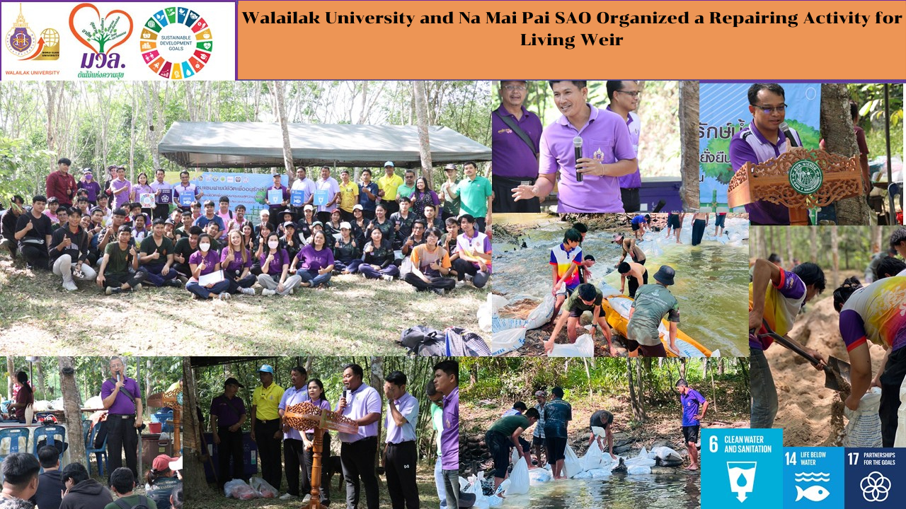 Walailak University and Na Mai Pai SAO Organized a Repairing Activity for Living Weir